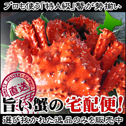 カニの浜海道