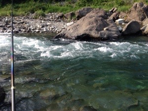 20150526-203741.jpg