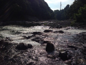 20150604-223842.jpg