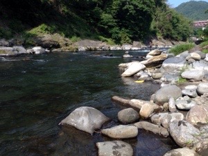 20150604-223926.jpg