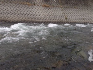 20150604-230736.jpg