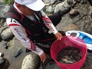 20150604-230949.jpg
