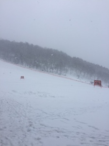20160120-225956.jpg