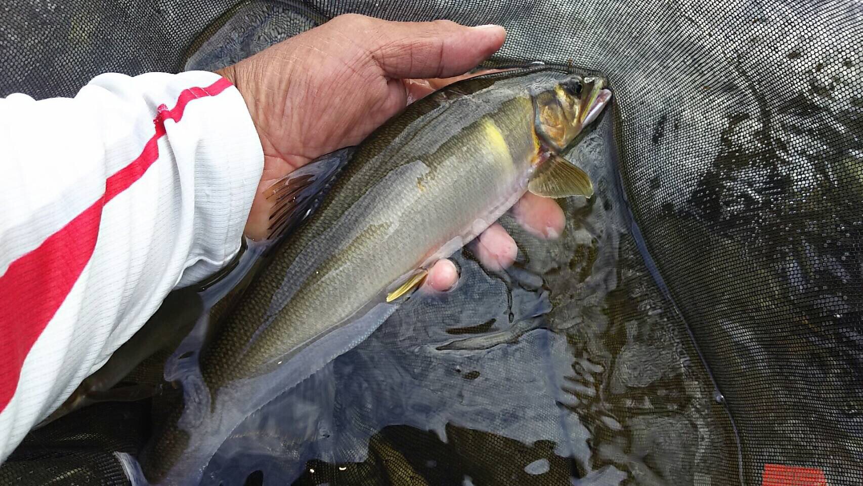 20161005-120225.jpg