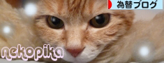 newbanner.jpg